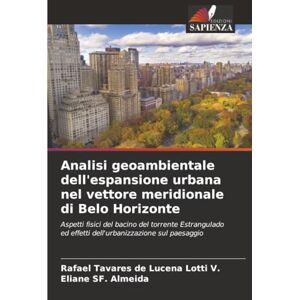 Tavares de Lucena Lotti V., Rafael Analisi geoambientale dell'espansione urbana nel vettore meridionale di Belo Horizonte: Aspetti fisici del bacino del torrente Estrangulado ed effetti dell'urbanizzazione sul paesaggio Tavares de Lucena Lotti V., Rafael Analisi geoambientale dell'espansione urbana nel vettore meridionale di Belo Horizonte: Aspetti fisici del bacino del torrente Estrangulado ed effetti dell'urbanizzazione sul paesaggio