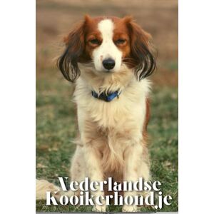 Pustova, Nina Nederlandse Kooikerhondje: Dog breed overview and guide Pustova, Nina Nederlandse Kooikerhondje: Dog breed overview and guide