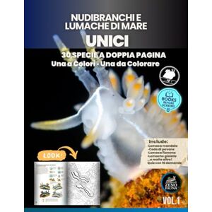 IT, Zenofauna Nudibranchi e Lumache di Mare Unici: Libro illustrato educativo con 30 specie a doppia pagina Una a colori · Una da colorare IT, Zenofauna Nudibranchi e Lumache di Mare Unici: Libro illustrato educativo con 30 specie a doppia pagina Una a colori · Una da colorare