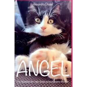 Dresel, Alexandra ANGEL: Eine wahre Katzengeschichte über Liebe, Verlust und unvergessliche Momente Dresel, Alexandra ANGEL: Eine wahre Katzengeschichte über Liebe, Verlust und unvergessliche Momente