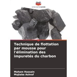 Hussain, Maham Technique de flottation par mousse pour l'élimination des impuretés du charbon Hussain, Maham Technique de flottation par mousse pour l'élimination des impuretés du charbon