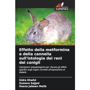 Khalid, Sidra Effetto della metformina e della cannella sull'istologia dei reni dei conigli: Valutazioni istopatologiche per rilevare gli effetti specifici sugli organi correlati all'esposizione al diabete Khalid, Sidra Effetto della metformina e della cannella sull'istologia dei reni dei conigli: Valutazioni istopatologiche per rilevare gli effetti specifici sugli organi correlati all'esposizione al diabete