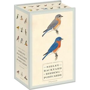Sibley, David Sibley Backyard Birding Postcards: 100 Postcards (Sibley Birds) Sibley, David Sibley Backyard Birding Postcards: 100 Postcards (Sibley Birds)