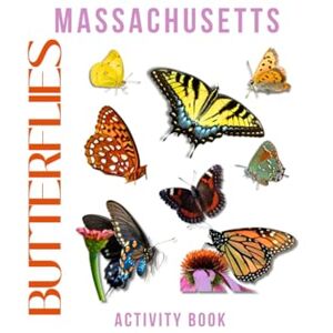 Doon, Ms Rey Butterflies of Massachusetts: Activity Book: Your Essential Guide to Identifying & Enjoying Bay State Butterflies – From Backyards to the Berkshires! (Massachusetts Nature Explorer Series) Doon, Ms Rey Butterflies of Massachusetts: Activity Book: Your Essential Guide to Identifying & Enjoying Bay State Butterflies – From Backyards to the Berkshires! (Massachusetts Nature Explorer Series)