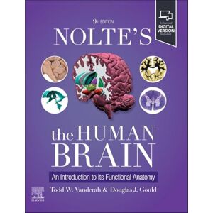 Vanderah PhD, Todd W. Nolte's The Human Brain: An Introduction to its Functional Anatomy Vanderah PhD, Todd W. Nolte's The Human Brain: An Introduction to its Functional Anatomy