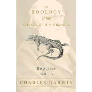 Darwin, Charles Reptiles Part V The Zoology of the Voyage of H.M.S Beagle: Under the Command of Captain Fitzroy During the Years 1832 to 1836: 5 Darwin, Charles Reptiles Part V The Zoology of the Voyage of H.M.S Beagle: Under the Command of Captain Fitzroy During the Years 1832 to 1836: 5