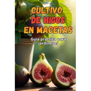 Svitana Cultivo de higos en macetas: Una guía paso a paso para cultivar higos con éxito en casa Svitana Cultivo de higos en macetas: Una guía paso a paso para cultivar higos con éxito en casa