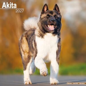 Avonside Publishing Ltd Akita 2027 Calendar Square Wall Calendar Dog Breed Gift Plastic Free Packaging by Avonside Publishing Avonside Publishing Ltd Akita 2027 Calendar Square Wall Calendar Dog Breed Gift Plastic Free Packaging by Avonside Publishing