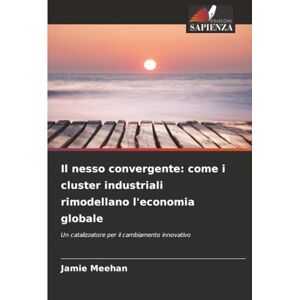 Meehan, Jamie Il nesso convergente: come i cluster industriali rimodellano l'economia globale: Un catalizzatore per il cambiamento innovativo Meehan, Jamie Il nesso convergente: come i cluster industriali rimodellano l'economia globale: Un catalizzatore per il cambiamento innovativo