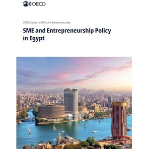 Oecd SME and Entrepreneurship Policy in Egypt Oecd SME and Entrepreneurship Policy in Egypt