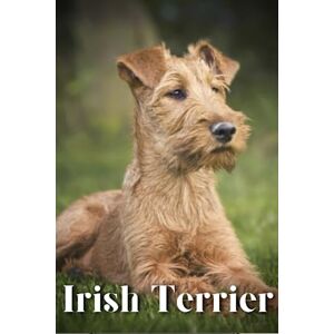 Pustova, Nina Irish Terrier: Dog breed overview and guide Pustova, Nina Irish Terrier: Dog breed overview and guide