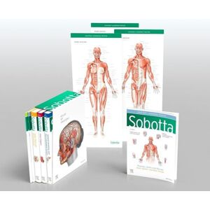 Paulsen, Friedrich Sobotta Atlas of Anatomy, Package, 17th ed., English/Latin: General Anatomy and Musculoskeletal System; Internal Organs; Head, Neck and Neuroanatomy; Muscles Tables; Poster Collection Paulsen, Friedrich Sobotta Atlas of Anatomy, Package, 17th ed., English/Latin: General Anatomy and Musculoskeletal System; Internal Organs; Head, Neck and Neuroanatomy; Muscles Tables; Poster Collection