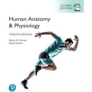 Marieb, Elaine Human Anatomy & Physiology, Global Edition Marieb, Elaine Human Anatomy & Physiology, Global Edition