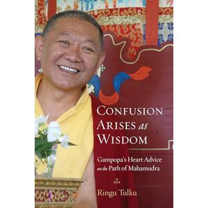 Tulku, Ringu Confusion Arises as Wisdom: Gampopa's Heart Advice on the Path of Mahamudra Tulku, Ringu Confusion Arises as Wisdom: Gampopa's Heart Advice on the Path of Mahamudra