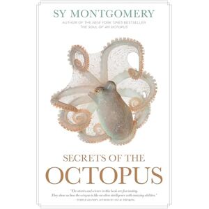 Montgomery, Sy Secrets of the Octopus Montgomery, Sy Secrets of the Octopus