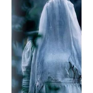 Müller, Erik Weeping Mothers, Vengeful Spirits: La Llorona, Medea, and the Archetype of the Destructive Mother (Mythology and history) Müller, Erik Weeping Mothers, Vengeful Spirits: La Llorona, Medea, and the Archetype of the Destructive Mother (Mythology and history)