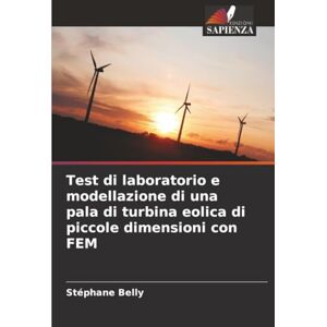 Belly, Stéphane Test di laboratorio e modellazione di una pala di turbina eolica di piccole dimensioni con FEM Belly, Stéphane Test di laboratorio e modellazione di una pala di turbina eolica di piccole dimensioni con FEM