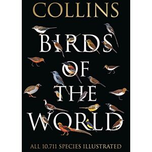 Norman Collins Birds of the World (Collins Field Guide) Norman Collins Birds of the World (Collins Field Guide)