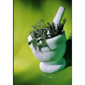 Wright, John The Tea Tonic A journey Through Herbal Infusions & Beyond Wright, John The Tea Tonic A journey Through Herbal Infusions & Beyond