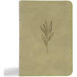 B&H Publishing Group NASB Large Print Compact Reference Bible, Sage B&H Publishing Group NASB Large Print Compact Reference Bible, Sage