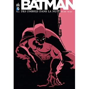 Loeb Jeph BATMAN DES OMBRES DANS LA NUIT Tome 0 Loeb Jeph BATMAN DES OMBRES DANS LA NUIT Tome 0
