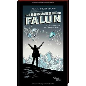 Hoffmann, Ernst Theodor Amadeus Die Bergwerke zu Falun: Illustrierte Buchreihe Hoffmann, Ernst Theodor Amadeus Die Bergwerke zu Falun: Illustrierte Buchreihe