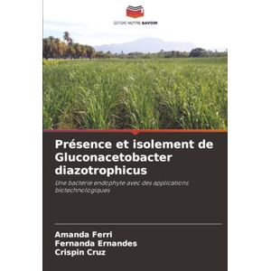 Ferri, Amanda Présence et isolement de Gluconacetobacter diazotrophicus: Une bactérie endophyte avec des applications biotechnologiques Ferri, Amanda Présence et isolement de Gluconacetobacter diazotrophicus: Une bactérie endophyte avec des applications biotechnologiques