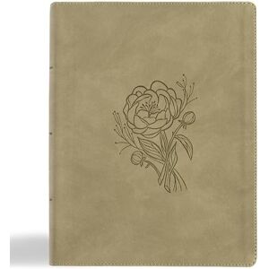 KJV Notetaking Bible, Large Print Edition, Sage Suedesoft KJV Notetaking Bible, Large Print Edition, Sage Suedesoft