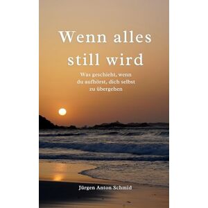 Schmid, Jürgen Anton Wenn alles still wird: Was geschieht, wenn du aufhörst, dich selbst zu übergehen Schmid, Jürgen Anton Wenn alles still wird: Was geschieht, wenn du aufhörst, dich selbst zu übergehen