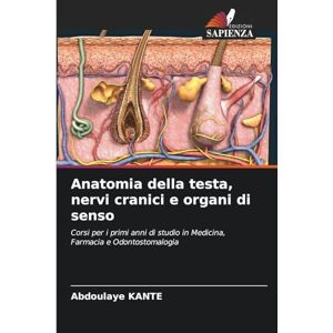 Kanté, Abdoulaye Anatomia della testa, nervi cranici e organi di senso: Corsi per i primi anni di studio in Medicina, Farmacia e Odontostomalogia Kanté, Abdoulaye Anatomia della testa, nervi cranici e organi di senso: Corsi per i primi anni di studio in Medicina, Farmacia e Odontostomalogia