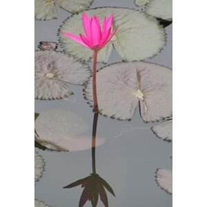 Spry, Carol Balanced & Bold: Redefining Success Without Losing Yourself: A Guide to Healing Burnout, Setting Boundaries, and Creating a Life You Don’t Need to Escape From Spry, Carol Balanced & Bold: Redefining Success Without Losing Yourself: A Guide to Healing Burnout, Setting Boundaries, and Creating a Life You Don’t Need to Escape From