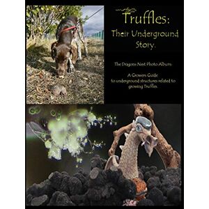 Hyson, Mr Michael Truffles: Their Underground Story: The Dragons Nest Photo Album. A Growers Guide to underground structures related to growing Truffles. Hyson, Mr Michael Truffles: Their Underground Story: The Dragons Nest Photo Album. A Growers Guide to underground structures related to growing Truffles.