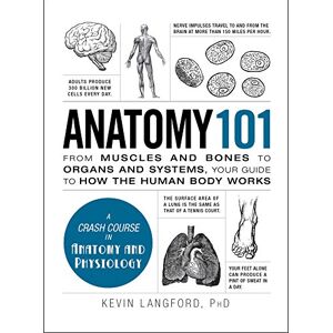 Langford PHD, Kevin Anatomy 101: From Muscles and Bones to Organs and Systems, Your Guide to How the Human Body Works (Adams 101 Series) Langford PHD, Kevin Anatomy 101: From Muscles and Bones to Organs and Systems, Your Guide to How the Human Body Works (Adams 101 Series)