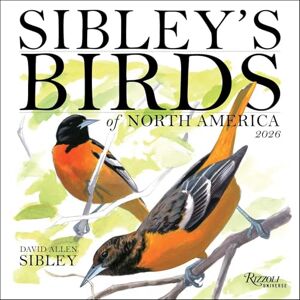 Sibley, David Allen Sibley's Birds of North America 2026 Wall Calendar Sibley, David Allen Sibley's Birds of North America 2026 Wall Calendar