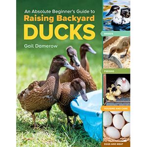 Damerow, Gail An Absolute Beginner's Guide to Raising Backyard Ducks: Breeds, Feeding, Housing and Care, Eggs and Meat Damerow, Gail An Absolute Beginner's Guide to Raising Backyard Ducks: Breeds, Feeding, Housing and Care, Eggs and Meat