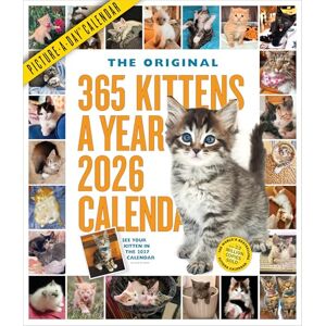 Publishing, Workman 365 Kittens-A-Year Picture-A-Day® Wall Calendar 2026 Publishing, Workman 365 Kittens-A-Year Picture-A-Day® Wall Calendar 2026