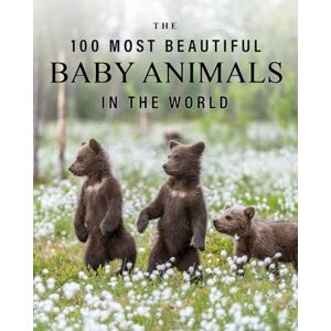 Blue Clover Books The 100 Most Beautiful Baby Animals in the World: A minimalist picture book for kids or seniors with alzheimer's or dementia (The "Most Beautiful World" Series) Blue Clover Books The 100 Most Beautiful Baby Animals in the World: A minimalist picture book for kids or seniors with alzheimer's or dementia (The "Most Beautiful World" Series)