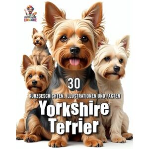 Coolore, Professore Yorkshire Terrier – 30 Kurzgeschichten, Illustrationen und Fakten: Ein liebevoll gestaltetes Buch für Hundefans mit Herz – zum Vorlesen, Staunen und Schmunzeln (Hundegeschichten) Coolore, Professore Yorkshire Terrier – 30 Kurzgeschichten, Illustrationen und Fakten: Ein liebevoll gestaltetes Buch für Hundefans mit Herz – zum Vorlesen, Staunen und Schmunzeln (Hundegeschichten)