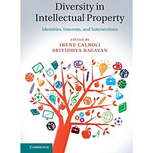 Cambridge University Press Diversity in Intellectual Property: Identities, Interests, and Intersections Cambridge University Press Diversity in Intellectual Property: Identities, Interests, and Intersections