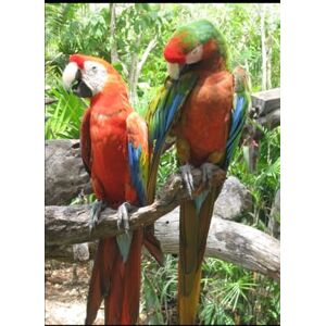 Garebatho, Kebaneilwe Life Challenges to Success Part 1,2&3 Garebatho, Kebaneilwe Life Challenges to Success Part 1,2&3