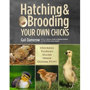Damerow, Gail Hatching & Brooding Your Own Chicks: Chickens, Turkeys, Ducks, Geese, Guinea Fowl Damerow, Gail Hatching & Brooding Your Own Chicks: Chickens, Turkeys, Ducks, Geese, Guinea Fowl