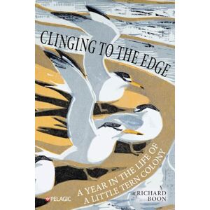 Boon Clinging to the Edge: A Year in the Life of a Little Tern Colony Boon Clinging to the Edge: A Year in the Life of a Little Tern Colony