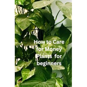 Plants, All Things How to Care for Money Plants for beginners: The only book you need for caring and growing the Money plant whether your new to house plants or you're an experienced house parent Plants, All Things How to Care for Money Plants for beginners: The only book you need for caring and growing the Money plant whether your new to house plants or you're an experienced house parent