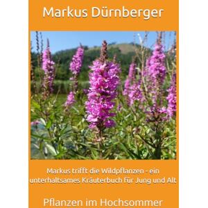 Dürnberger, Markus Markus trifft die Wildpflanzen ein unterhaltsames Kräuterbuch für Jung und Alt: Pflanzen im Hochsommer Dürnberger, Markus Markus trifft die Wildpflanzen ein unterhaltsames Kräuterbuch für Jung und Alt: Pflanzen im Hochsommer