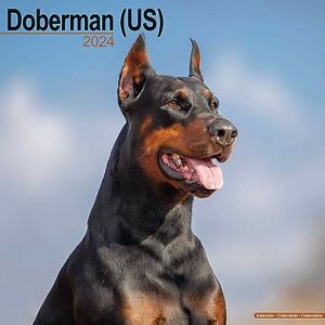Avonside Publishing Ltd Doberman (US) Calendar 2024 Square Dog Breed Wall Calendar 16 Month Avonside Publishing Ltd Doberman (US) Calendar 2024 Square Dog Breed Wall Calendar 16 Month