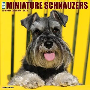 Willow Creek Press Miniature Schnauzers 2026 Wall Calendar Willow Creek Press Miniature Schnauzers 2026 Wall Calendar