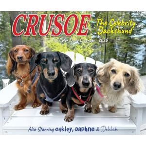 Crusoe the Celebrity Dachshund 2026 Box Calendar Crusoe the Celebrity Dachshund 2026 Box Calendar
