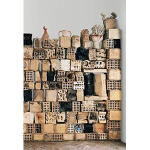 Irene Biolchini Miquel Barceló: Time is a river which sweeps me along, but I am the river (J.L. Borges) Irene Biolchini Miquel Barceló: Time is a river which sweeps me along, but I am the river (J.L. Borges)