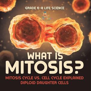 Professor, Baby What is Mitosis? Mitosis Cycle vs. Cell Cycle Explained Diploid Daughter Cells Grade 6-8 Life Science Professor, Baby What is Mitosis? Mitosis Cycle vs. Cell Cycle Explained Diploid Daughter Cells Grade 6-8 Life Science