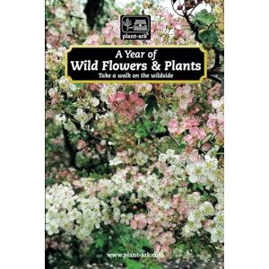 McCobb, Ita A Year of Wild Flowers & Plants: Take a walk on the wildside McCobb, Ita A Year of Wild Flowers & Plants: Take a walk on the wildside